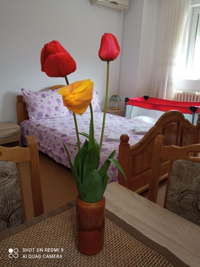 Apartman Andelina Vrnjacka Banja Exterior photo