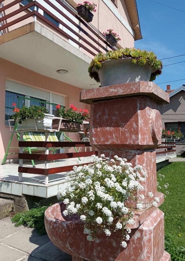 Apartman Andelina Vrnjacka Banja Exterior photo